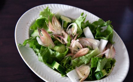 【波佐見焼】ローズマリー リムオーバル プレート アイボリー 食器 皿 【翔芳窯】 [FE208]  波佐見焼