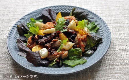 【波佐見焼】ローズマリー リム プレートL ネイビー 食器 皿 【翔芳窯】 [FE211]  波佐見焼