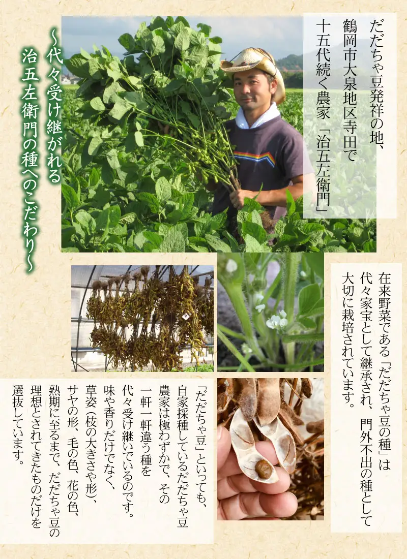 【令和8年産先行予約】 山形セレクション認定！15代目「治五左衛門」の新鮮だだちゃ豆 (早生だだちゃ豆)　1.35kg　(450g×3袋) 　8月上旬