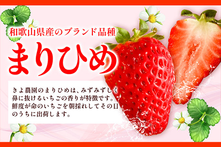 ＜先行予約＞希少！まりひめ　特大サイズ　約300g～350g×4パック きよ農園