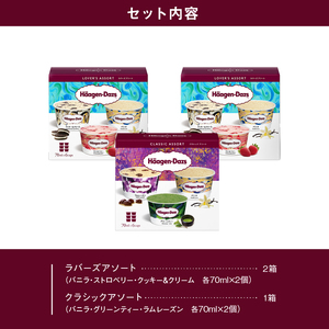 『アソートボックス3箱』 アイス ハーゲンダッツ アイスクリーム_H0016-110