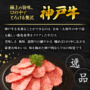 神戸牛 福袋 帝神 おまかせコース C  サーロインステーキ ももステーキ カルビスライス