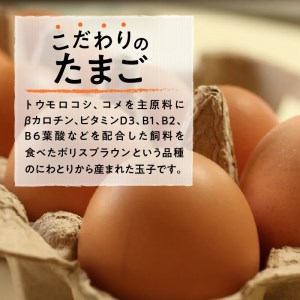 ☆彡6か月定期便☆彡　北杜のたまご（30個入） [h199]