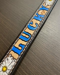 a67-003　大型 犬 の 首輪