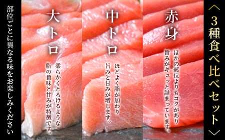 まぐろの王様！生本マグロ！まぐろ三昧おためしセット合計300g前後（赤身・中トロ・大トロ各約100g） [e04-a083] 