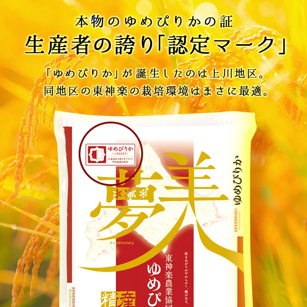 令和7年産 【お米の定期便】《偶数月お届け》ゆめぴりか 2kg×2袋 《普通精米》全6回