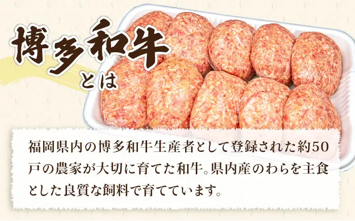 【全12回定期便】博多和牛と糸島産豚肉入り手作り生ハンバーグ 130g×10個×12回 計120個 糸島ミートデリ工房 [ACA256]