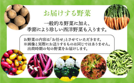 【全3回定期便】【☆畑直送☆栽培期間中農薬不使用！】お 米 2kg & 野菜 5品 の セット 糸島市 / オーガニックナガミツファーム 	[AGE036]