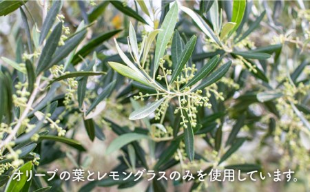 【全12回定期便】 オリーブ ハーブティー  40個（8個入×5袋）長与町/ゆきのヶ丘オリーブ園 [EAV004]  ハーブティー オリーブティー ティーバッグ