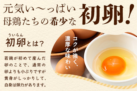 たまご 鶏卵 【定期便】佐賀鹿島産 平飼い初卵「うみとやまとこっこ」 上田養鶏場 たまご60個×3回 卵タマゴ  玉子焼きD-117