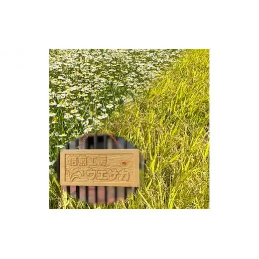 焙煎工房ウエサカオリジナル 無農薬玄米コーヒーセット(ティーパック3袋＋粉末2袋)