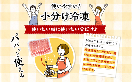 豚肉 しゃぶしゃぶ 豚肉[宮崎県産 ロース 2kg 400g×5P]