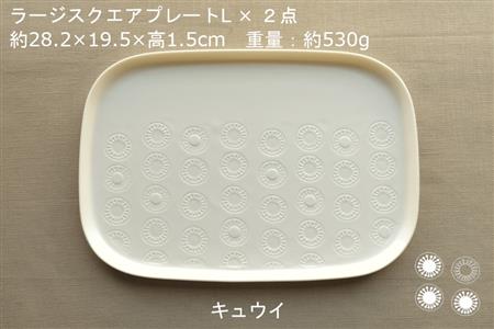 【美濃焼】ラージスクエアプレート L ペアセット 2枚 キュウイ×シード【カネ一古林商店】食器 プレート オフ 白 ホワイト プレゼント セット 家族 おもてなし 美濃焼 日本製 おしゃれ レンジ対応 食洗機対応 送料無料[MEG011]