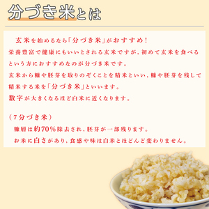 ★真空包装★R7年産こしひかり 4kg(2kg×2袋)【7分づき】｜米 こめ お米 コシヒカリ こしひかり 真空 真空包装 7分づき 人気 個包装 茨城県 行方市 送料無料(CZ-5-3)