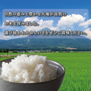 ★真空包装★R7年産こしひかり 8kg(2kg×4袋)【白米】｜米 こめ お米 コシヒカリ こしひかり 真空 真空包装 白米 人気 個包装 茨城県 行方市 送料無料(CZ-8-2)
