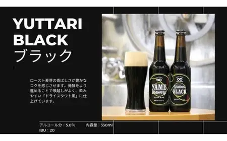 クラフトビール 飲み比べ2種6本 【ブラック 金賞受賞 / ぶどうIPA 銅賞受賞】 福岡 八女ブルワリー 107-005