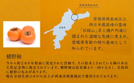 愛媛県西条産「吟選  あんぽ柿（８個）」横野柿 加工品
