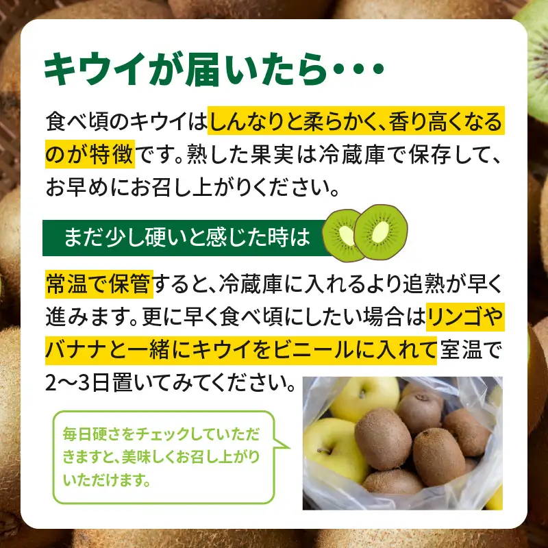 【先行受付：2026年11月頃発送開始】福岡限定品種キウイ「甘うぃ」約3kg<配送不可地域：北海道・沖縄・離島> 先行受付 キウイ キウイフルーツ フルーツ 果物 くだもの 甘い 高糖度 希少 オリジナル品種 新品種 新ブランド 072-147