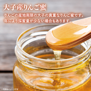 【2026年10月～2027年4月発送】天然はちみつ【大子のりんご蜜 120g×3本セット】|茨城県 大子町 奥久慈 ハチミツ 蜂蜜 プレゼント 包装(BG003)