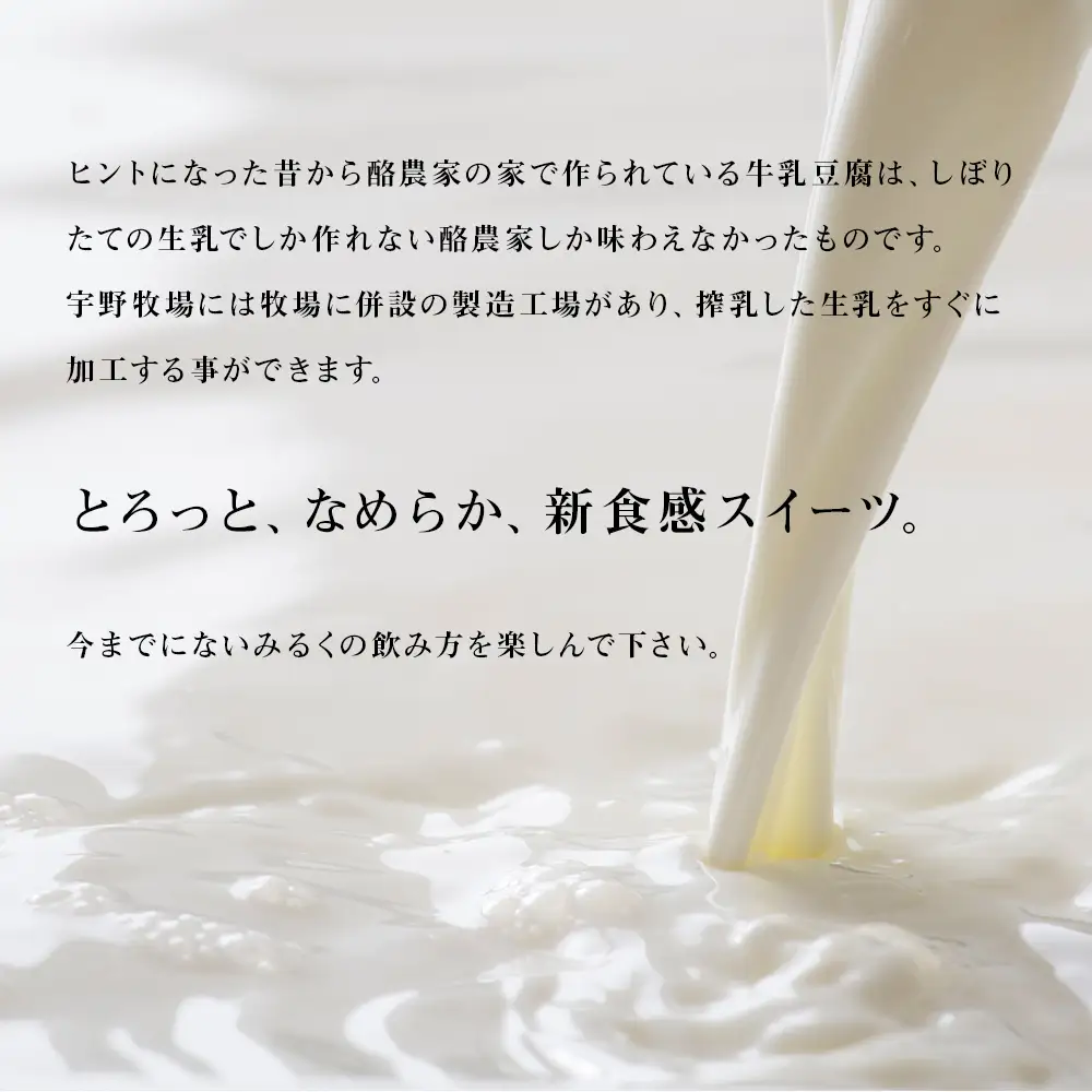 トロケッテ・ウーノ プレーン 6個