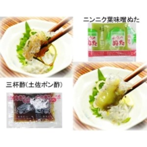 高知産「生シラス」イワシ稚魚 約100gx5パック（タレ付）