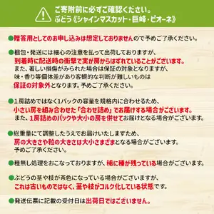 福岡八女　お楽しみ夏のフルーツ定期便Ａ　ぶどう　シャインマスカット　梨｜＜配送不可：北海道・沖縄・離島＞　072-T026