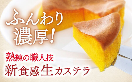 長崎ご当地スイーツシースクリームと半熟カステラ詰合せ / スイーツ シュークリーム カステラ かすてら 菓子 / 諫早市 / 株式会社梅月堂 [AHBN001] 