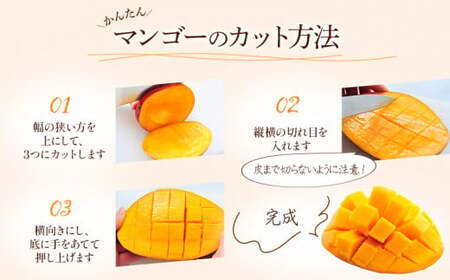 マンゴー 訳あり 宮崎 完熟 マンゴー[約1kg 2～3玉]
