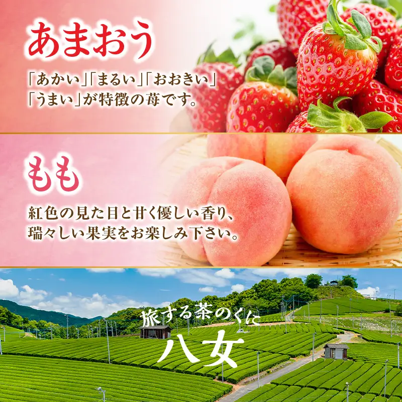 九州・福岡フルーツ王国八女 お楽しみ旬のフルーツ定期便【全5回】A ＜配送不可：北海道・沖縄・離島＞ フルーツ 定期便 あまおう みかん キウイ ぶどう もも 季節のフルーツ 果物 おすすめ セット 産地直送 福岡県 八女市 072-T009