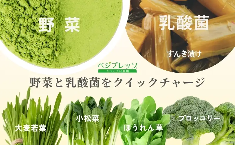 【無添加青汁】乳酸菌青汁400（3g×30包）2個セット 野菜不足 食物繊維 自然素材 添加物不使用 植物性乳酸菌 国産 大麦若葉 ブロッコリー 小松菜 ほうれん草 植物繊維 駒ヶ根市
