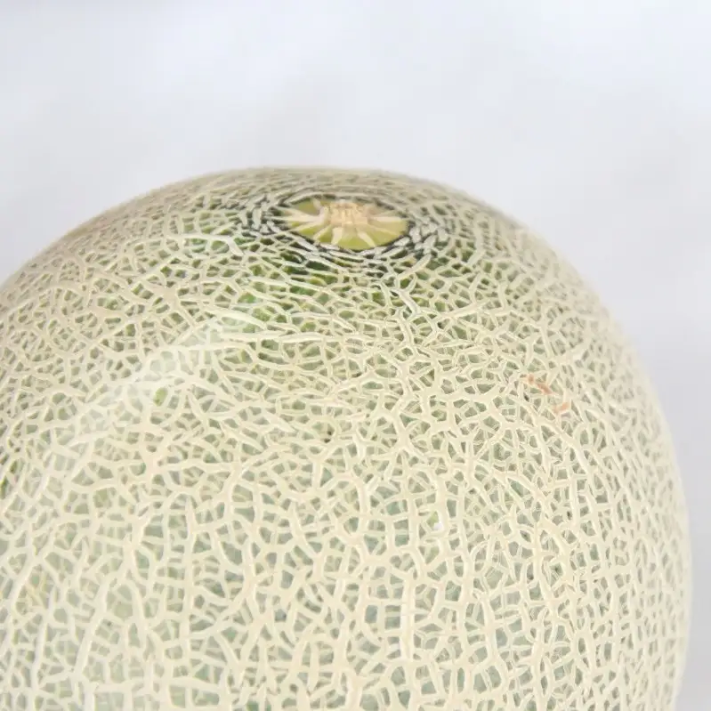 【2026年先行受付】【2026年7月後半発送】青肉 メロン 約 5kg 秀～優 ( 3～6玉 )