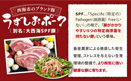 焼肉 ＆ シャブシャブ セット うずしおポーク 計1.4kg（各700g）＜スーパーウエスト＞ [CAG094]  焼肉 豚しゃぶ
