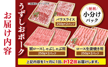 12回定期便 長崎うずしおポーク3種 訳あり CAG221 国産豚