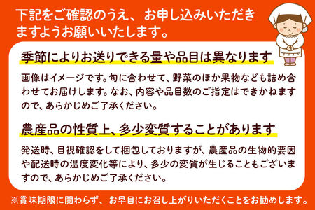 季節の産直詰め合わせ 野菜 山菜 果物 フルーツ お菓子 など