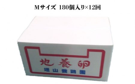【12回定期便】最高級 卵 地養卵 Mサイズ 180個×12回定期便 長崎県産 西海市 たまご 卵 玉子 タマゴ 鶏卵 オムレツ 卵かけご飯 朝食 料理 人気 卵焼き＜垣山養鶏園＞ [CBB012]