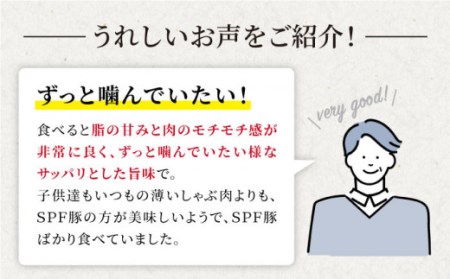 大西海SPF豚 肩ロース しゃぶしゃぶ 計1.2kg 訳あり ＜大西海ファーム＞ [CEK036] しゃぶしゃぶ