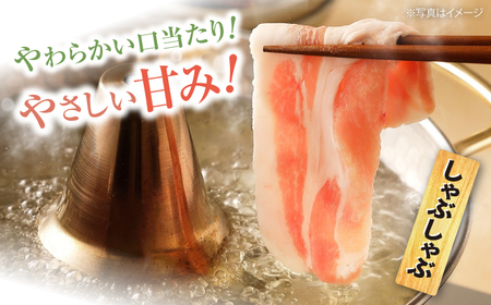 6回定期便 SPF豚 国産豚 2種 計1.2kg 訳あり [CEK089] 豚肉 国産豚