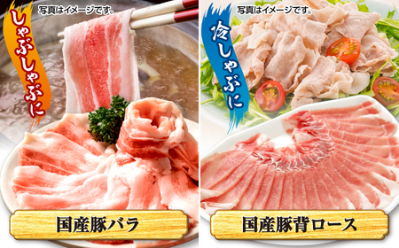 大西海 SPF豚 豚肉 4種セット 1.2kg [CEK162] 豚肉 