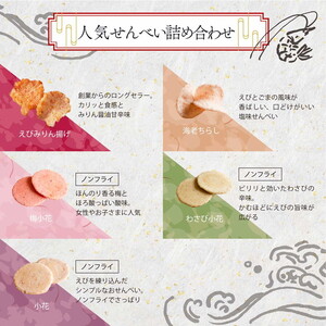 えびせんべいの里 えびせんいろいろ10袋セット 海老せんべい 煎餅 たこ
