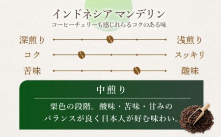 【豆タイプ】【☆一番人気☆】中煎り インドネシア マンデリン 自家焙煎 コーヒー 5袋 計500g ＜giko coffee＞ [CFK003] コーヒー コーヒー豆