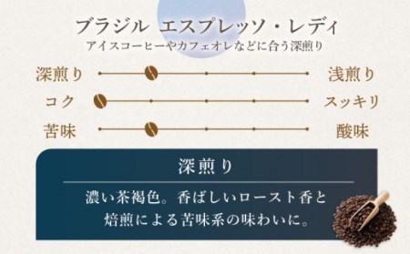 【粉タイプ】 深煎り ブラジル エスプレッソ・レディ 自家焙煎 コーヒー 5袋 450g ＜giko coffee＞ [CFK006] コーヒー 自家製コーヒー