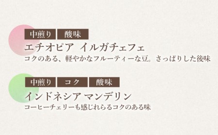 【豆タイプ】【飲み比べセット】 自家焙煎 コーヒー 4種類 各1袋＜giko coffee＞ [CFK041]
