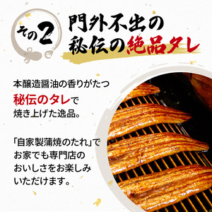 国産 120g 蒲焼 うなぎ 2尾 うなぎ