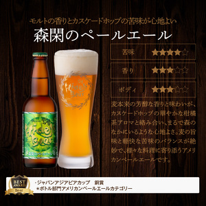 【12ヶ月定期便】宮崎ひでじビールお楽しみ6本セット N073-YZG098