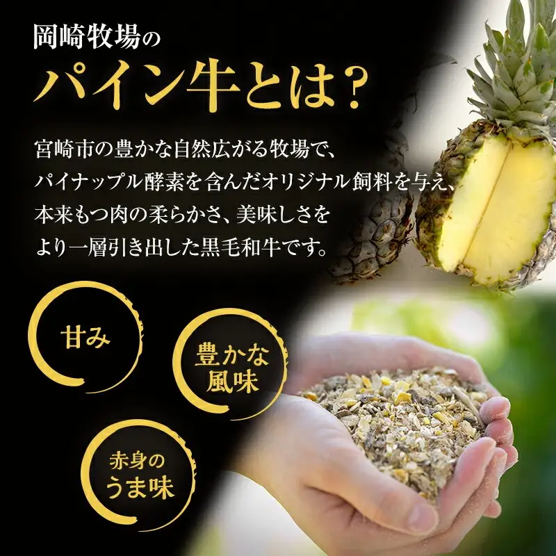 牛肉 赤身 牛肉[黒毛和牛 パイン牛 ウデ・モモ 切り落とし 1kg 宮崎県産]