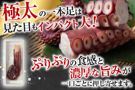 【北海道根室産】真たこ1本足 1～1.3kg A-19004