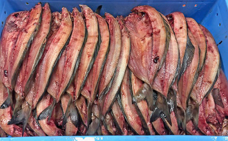 北海道 礼文島産 脂のり抜群 開きほっけ 2枚入×3袋(計約1.5kg)［マルキュウ ジンポーフーズ］【 ほっけ ホッケ 開きほっけ 干物 肉厚 脂のり 焼き魚 海鮮 北海道産 おかず 絶品 】