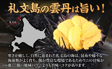 北海道 礼文島産 ミョウバン不使用 塩水ウニ キタムラサキウニ 100g×1パック［野崎水産］【 うに ウニ 雲丹 生うに 塩水うに ムラサキウニ 素材本来の味 海鮮 うに丼 濃厚 甘み 産地直送 】