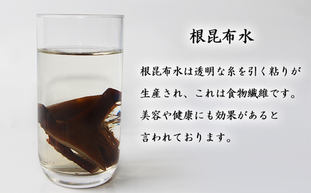 北海道 礼文島 香深産 希少 一等検 5年蔵熟成 天然 利尻根昆布 300g×4袋［野崎水産］【 昆布 根昆布 根こんぶ だし昆布 出汁 利尻昆布 熟成 根昆布水 海藻 】
