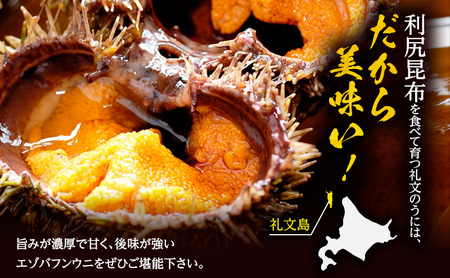 北海道 礼文島産 採れたて ミョウバン不使用 エゾバフンウニ 塩水パック 100g×1個［株式会社やまじょう］【 うに ウニ 雲丹 生うに 塩水うに バフンウニ 滅菌海水 海鮮 うに丼 濃厚 甘み 】